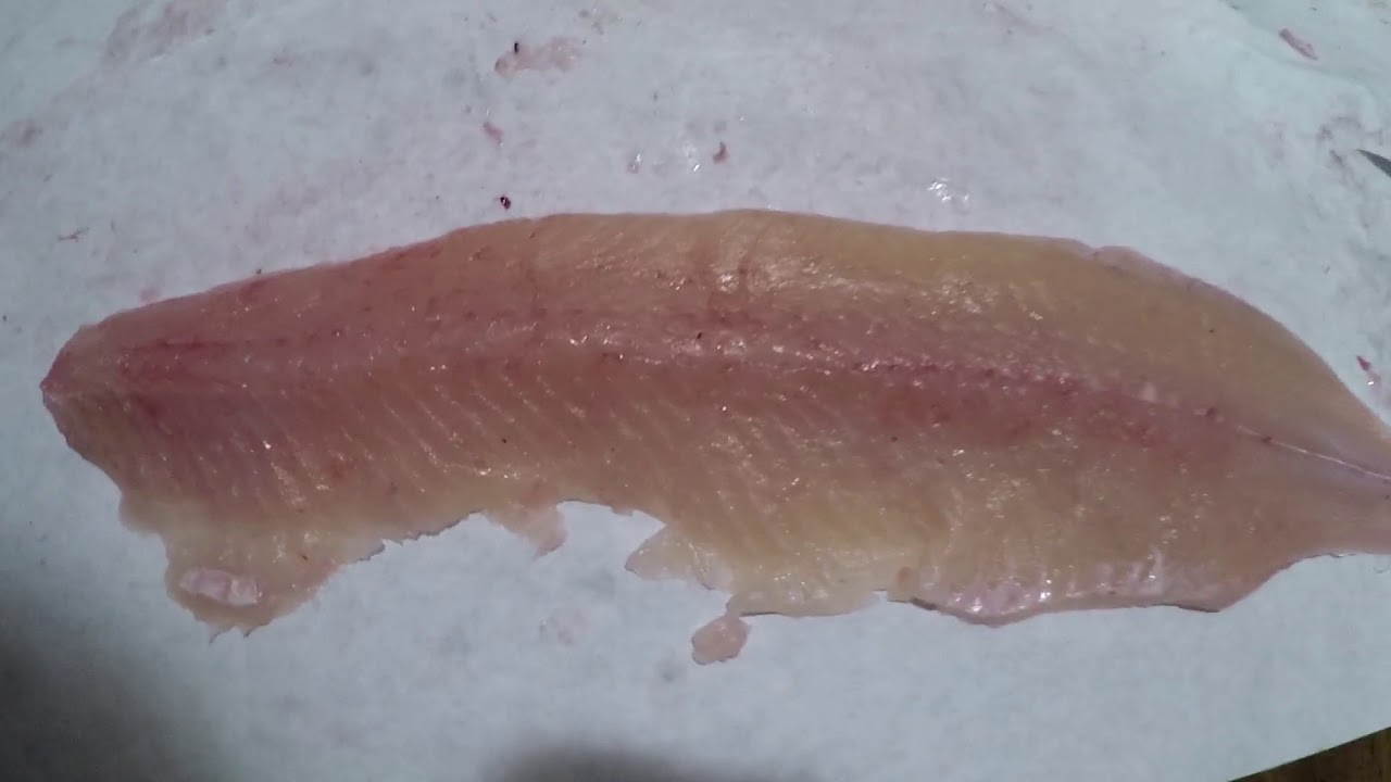 How I remove Northern Pike Y bone.