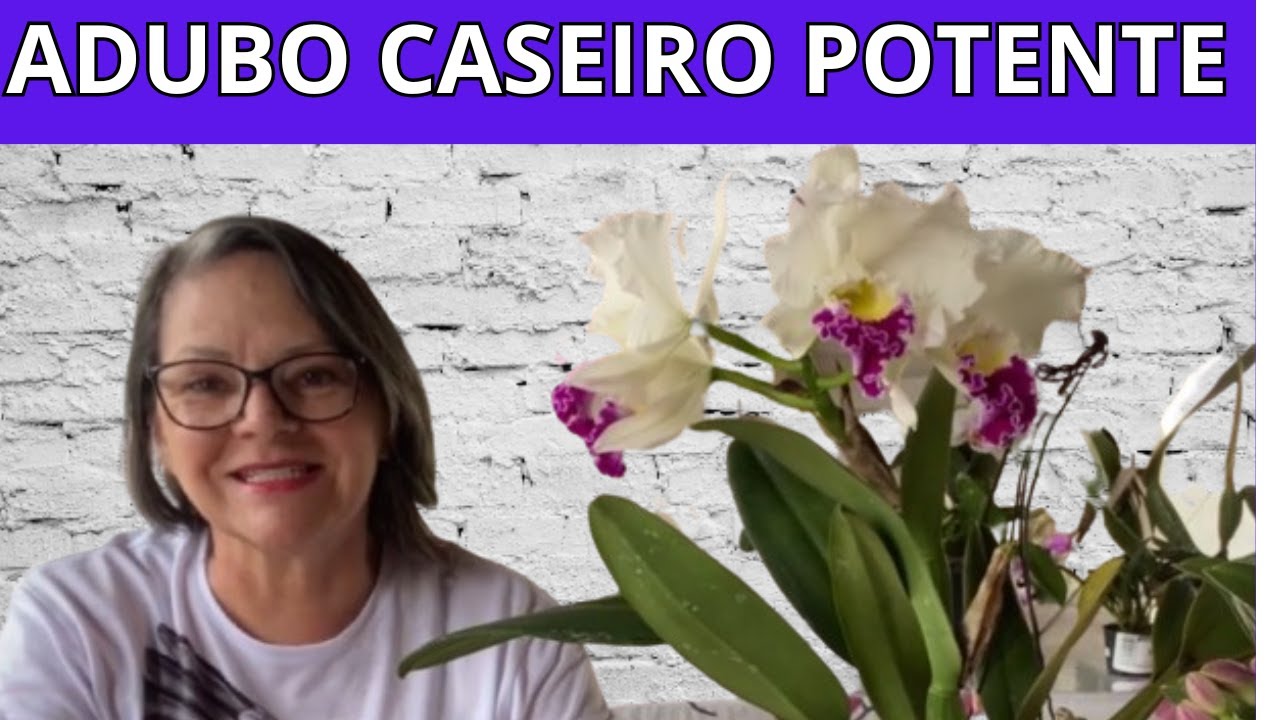 Adubo caseiro potente: solução econômica para suas orquídeas