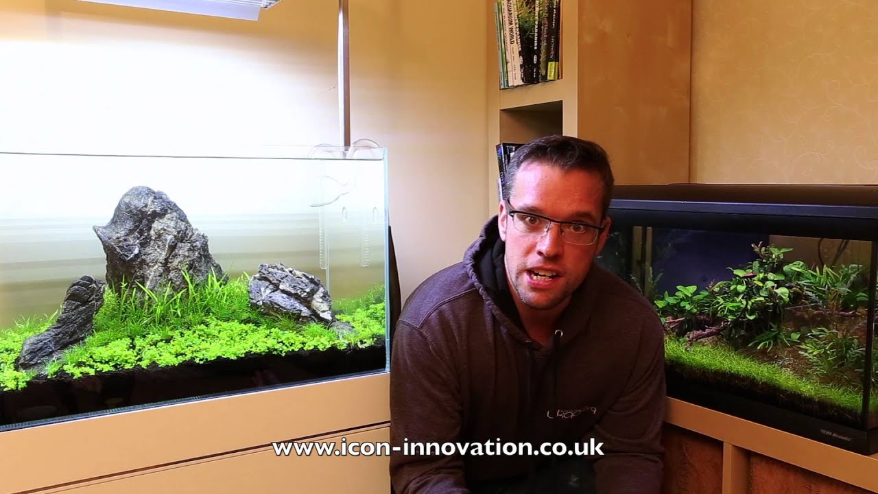 Announcing The UKAPS Aquascaping Experience 2016