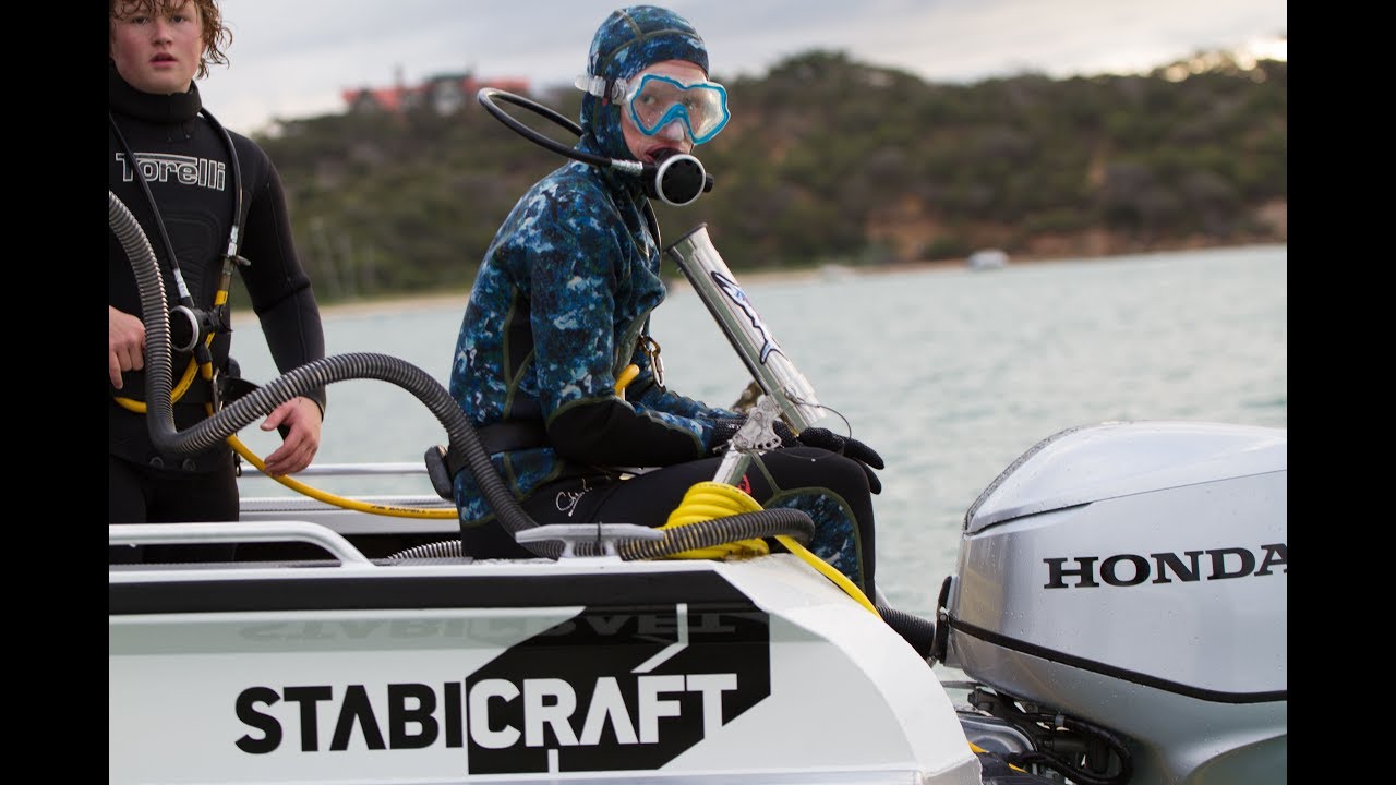 Stabicraft 1550 Fisher with 60HP Honda