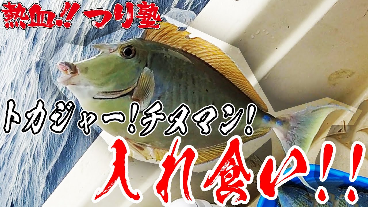 大物だらけの本部船釣り！