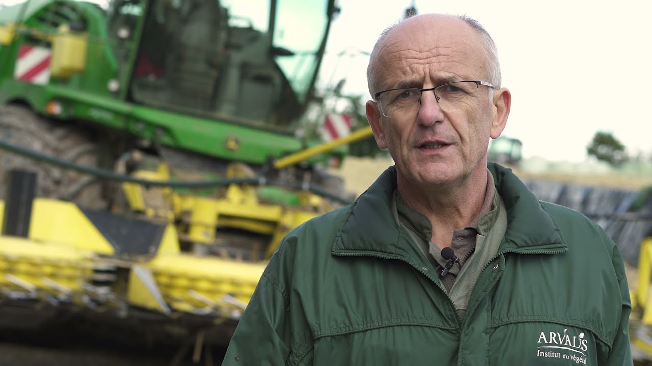 R&eacute;colte du ma&iuml;s fourrage : les bons r&eacute;glages de l&rsquo;ensileuse - ARVALIS-infos.fr