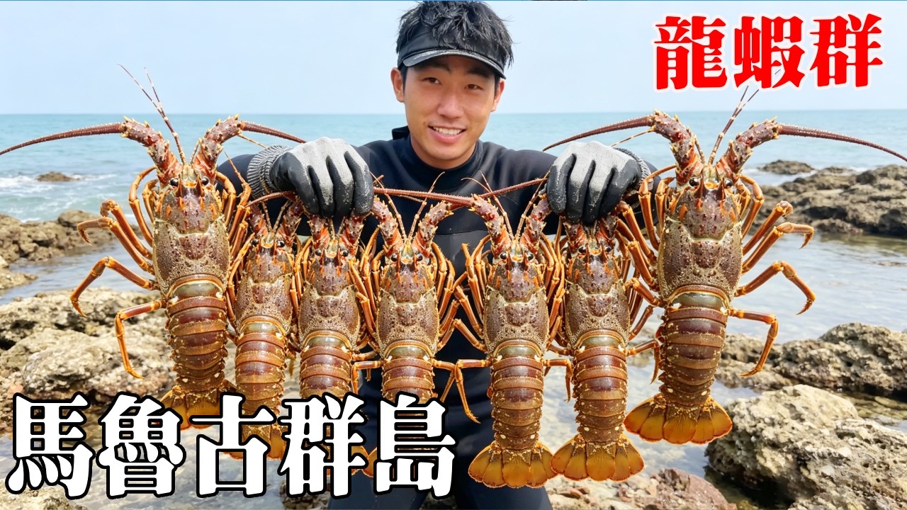 重回馬魯古群島（6）！一点点将庇护所完善，很多东西都可以变废为宝，使用竹片编织鱼笼，偶遇龙虾窝，海鲜大餐不要太美味！【探索兄弟】
