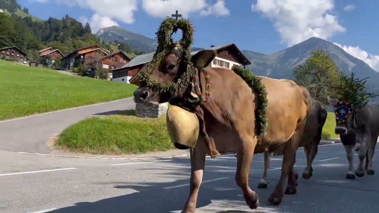 Durchs Große Walsertal nach Damüls