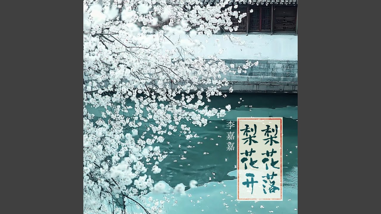 梨花开梨花落 (DJ泽亦龙版)