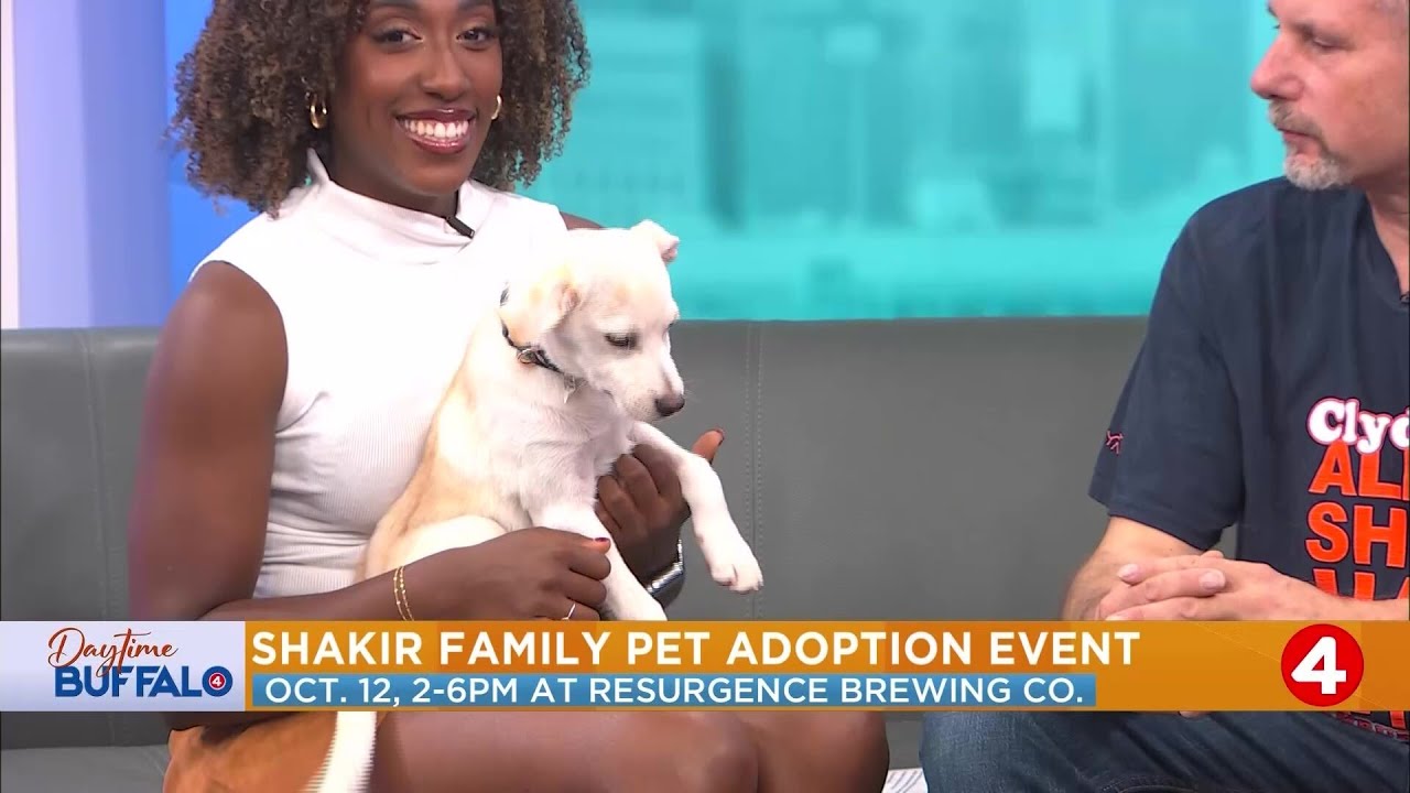 Daytime Buffalo: Shakir Family Pet Adoption Event Oct. 12, 2-6pm at Resurgence Brewing Co.