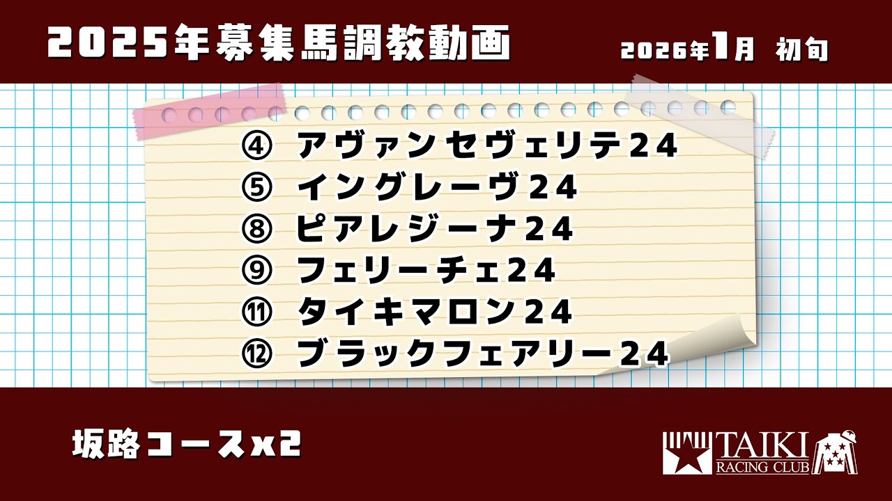 【24年産】調教動画④　BTC・坂路コース　2026年1月初旬撮影