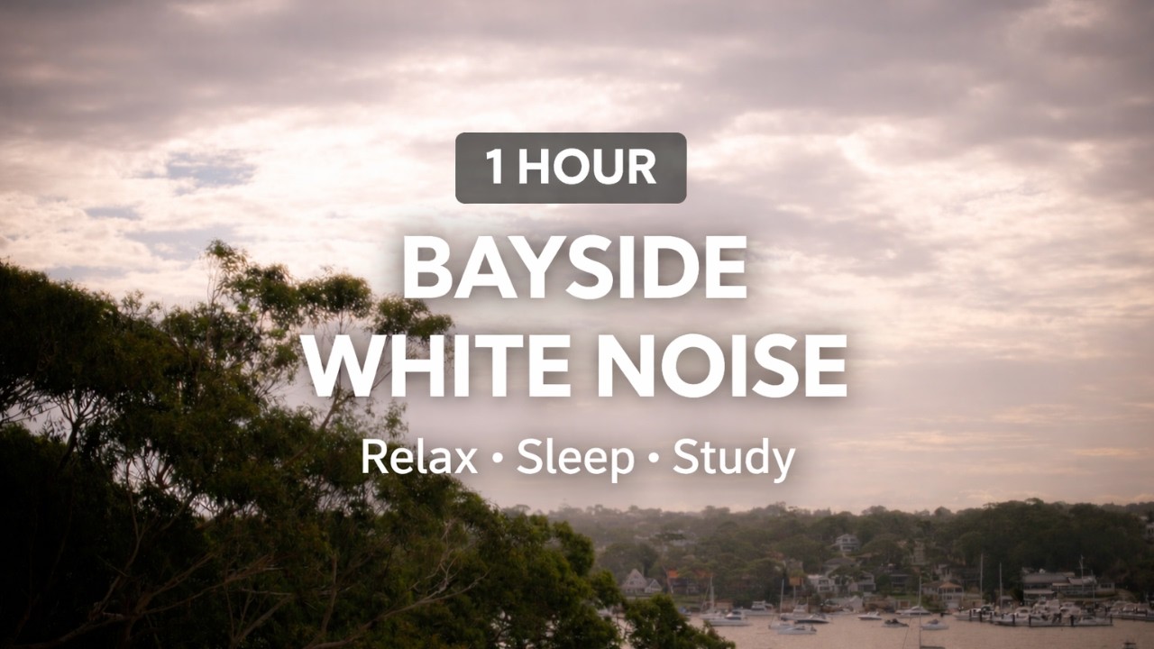 Bayside Windy White Noise || 1 Hour Relaxation, Meditation & Sleep Sounds