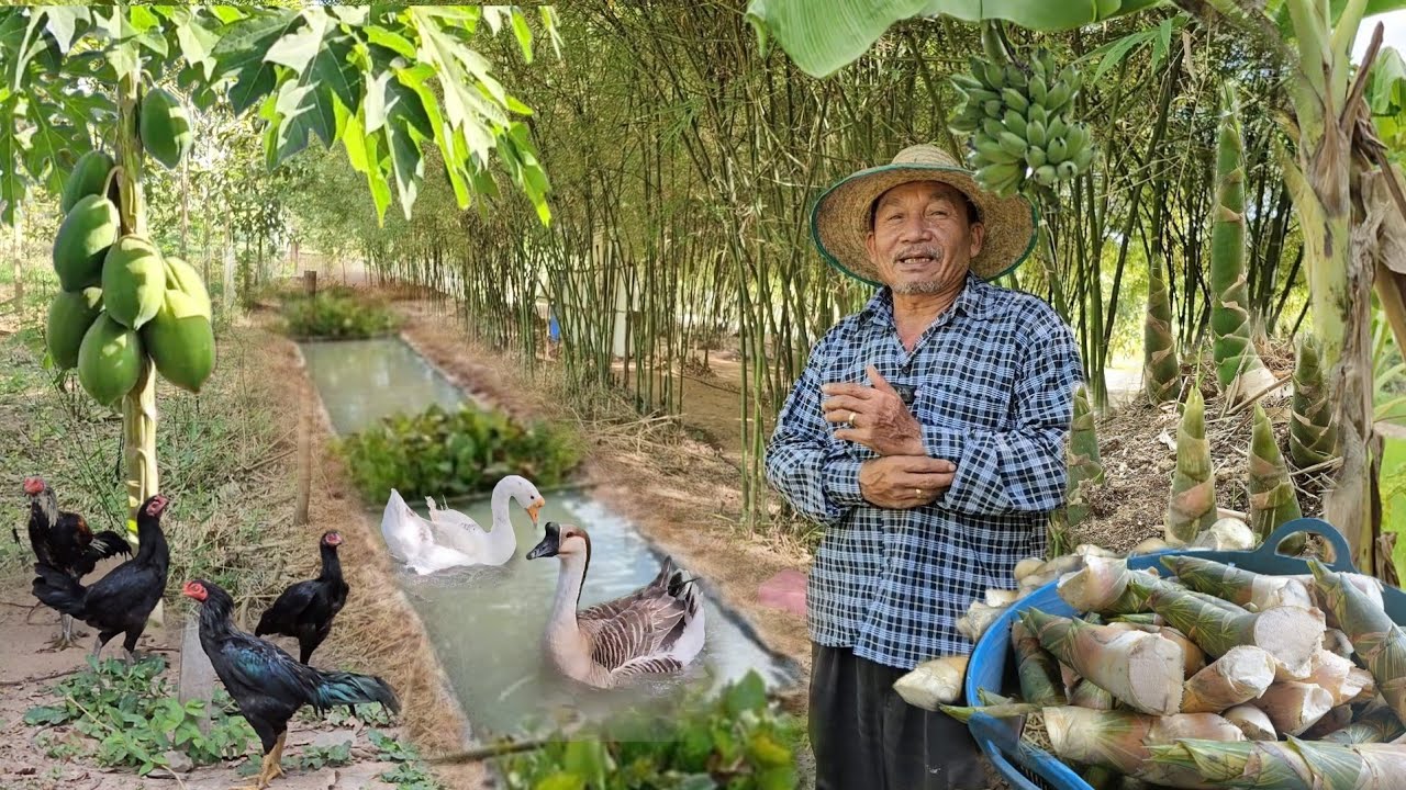 ลาออกจากงานเตรียมตัวอย่างดี มีรายได้ทันทีตั้งแต่ปีแรก ผลผลิตขายดีจนมีไม่พอ!!