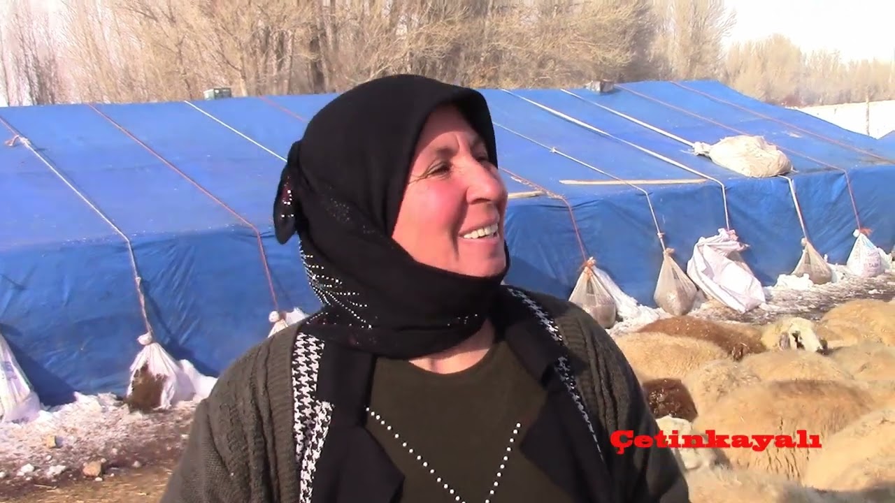 TAŞGEÇİT KÖYÜ  YUSUF BUDAK IN  DAVAR SÜRÜSÜ
