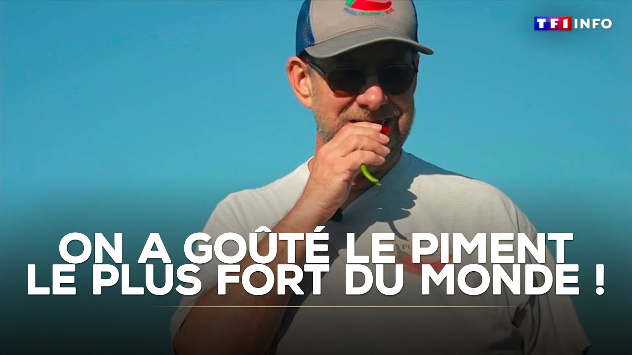 On a goûté le piment le plus fort du monde ! ｜TF1 INFO