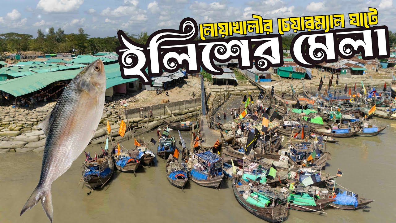 চেয়ারম্যান ঘাট হাতিয়া নোয়াখালী || Chairman Ghat Hatiya Noakhali