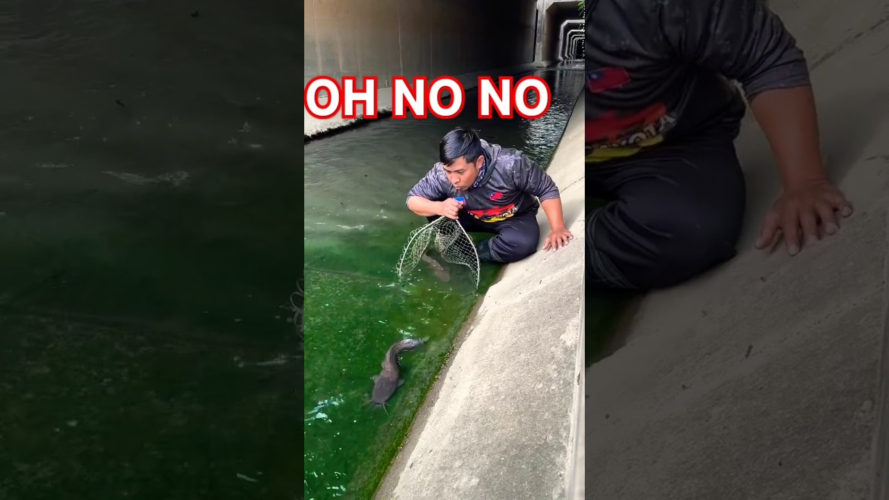 Łowienie ryb, kr&oacute;tki film na YouTube, polowanie na ryby