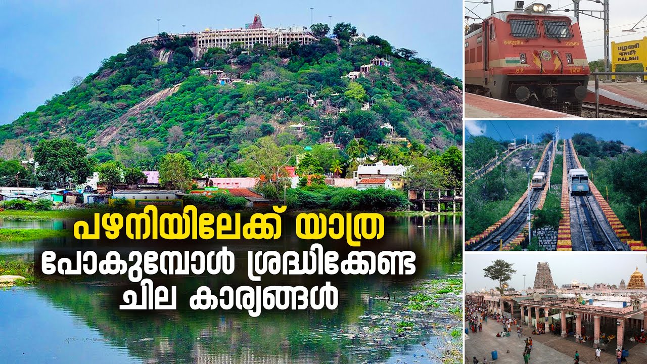 പഴനിയിലേക്ക് യാത്ര പോകുമ്പോൾ ശ്രദ്ധിക്കേണ്ട ചില&nbsp;കാര്യങ്ങൾ | Palakkad to Palani | Palani Temple