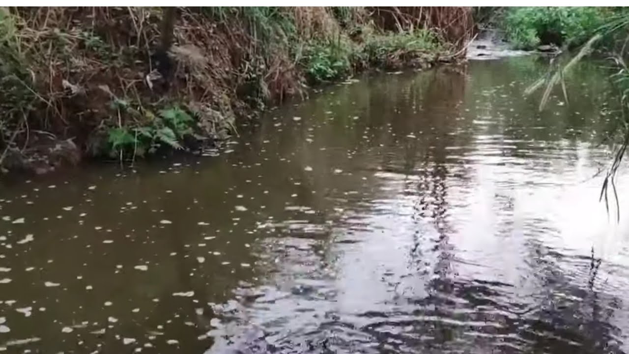 NO VALÃO É SÓ JOGAR E PUXAR!!!
