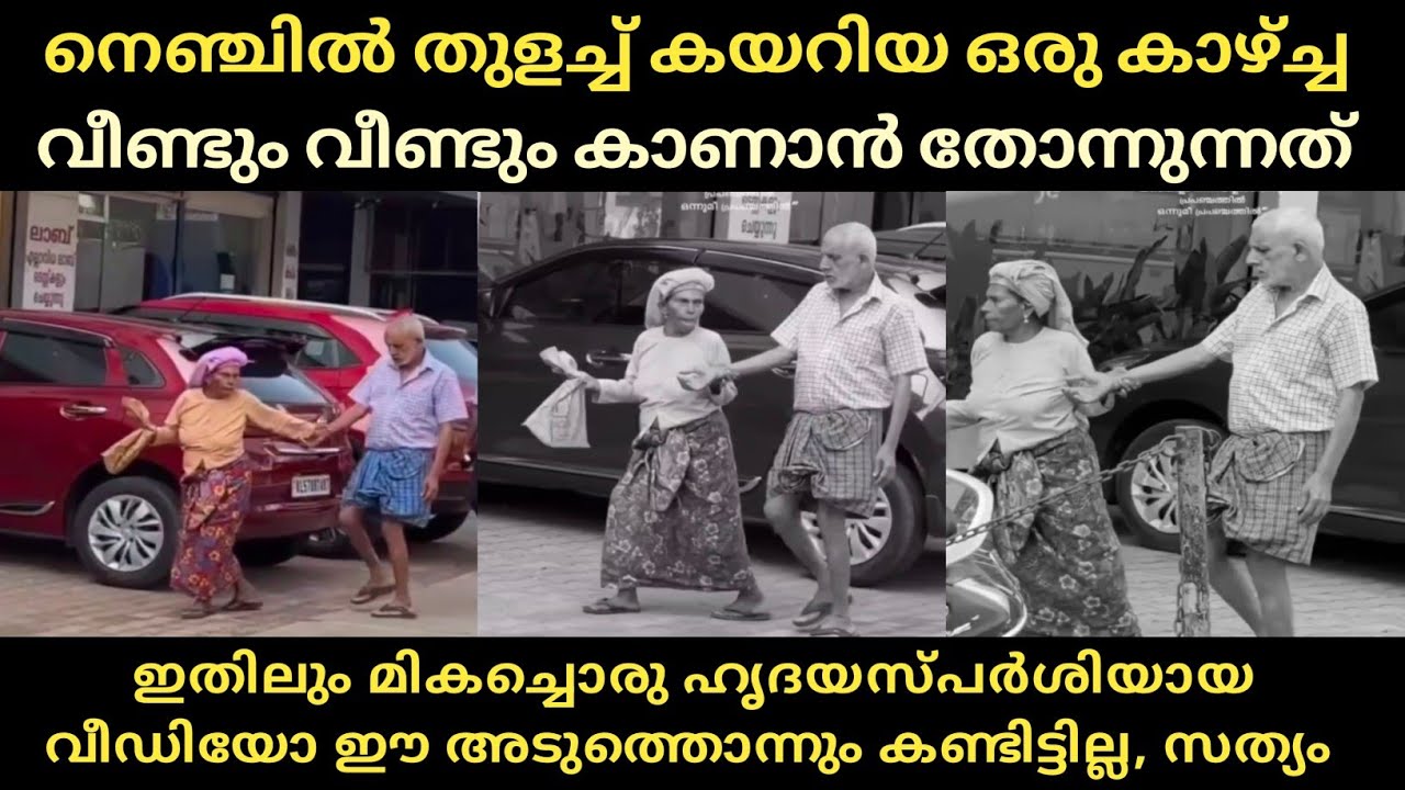 നെഞ്ചിൽ തുളച്ച് കയറിയ ഒരു കാഴ്ച്ച... ആരും കൊതിച്ച് പോവുന്ന നിമിഷം🥰ഉമ്മുമ്മഉപ്പുപ്പ റോഡ്| Thala Vlogs