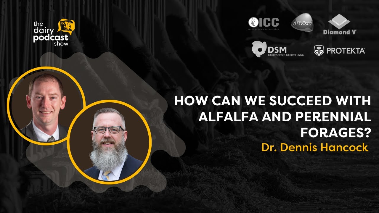 Dr. Dennis Hancock: Alfalfa and Perennial Forages | Ep. 17