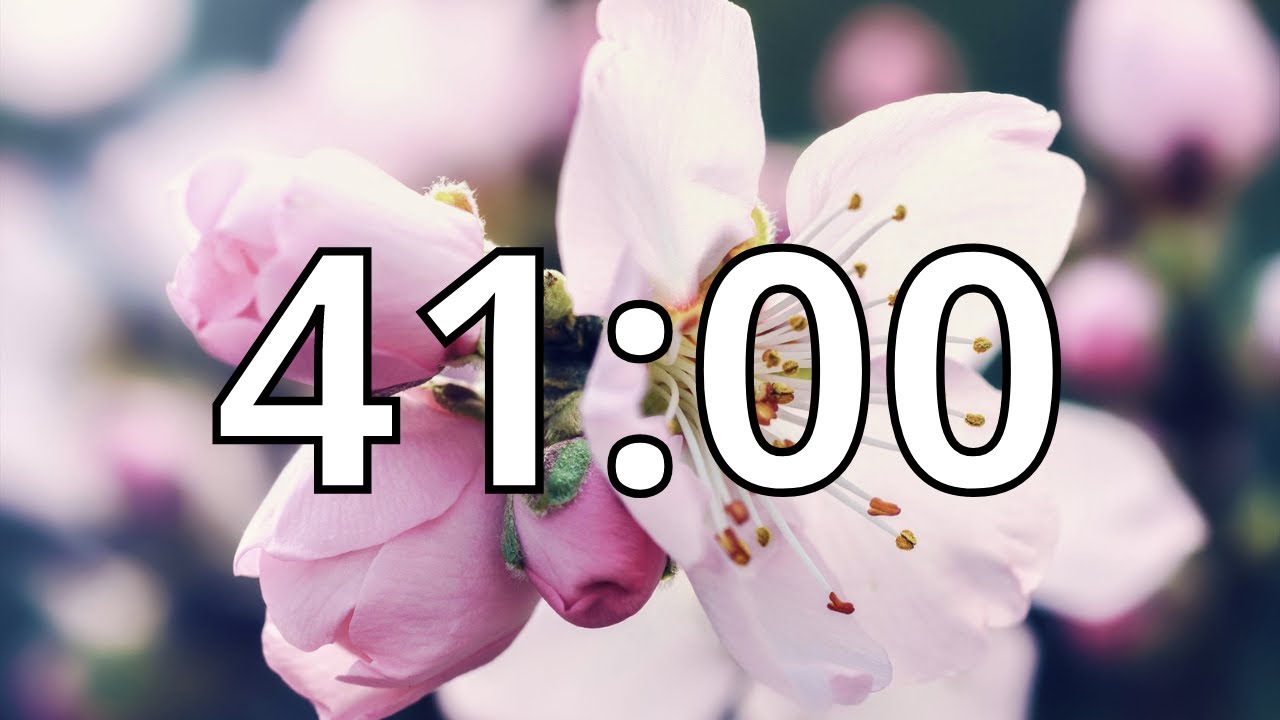 41 Minutes Timer with Music | Cherry Blossom Timer