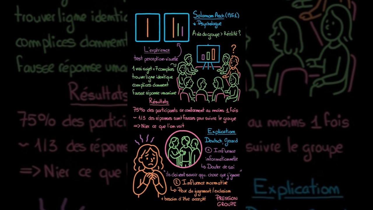 Psychologie Sociale - L'Exp&eacute;rience de Asch sur le Conformisme #psychologie