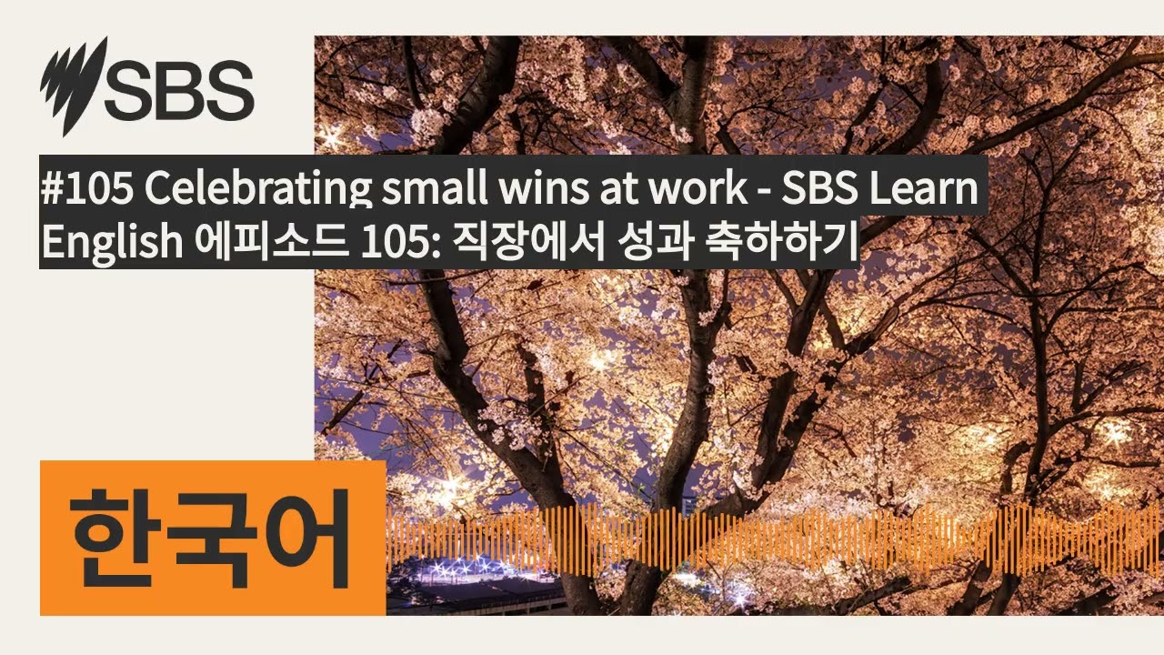 #105 Celebrating small wins at work - SBS Learn English 에피소드 105: 직장에서 성과 축하하기 | SBS Korean -...