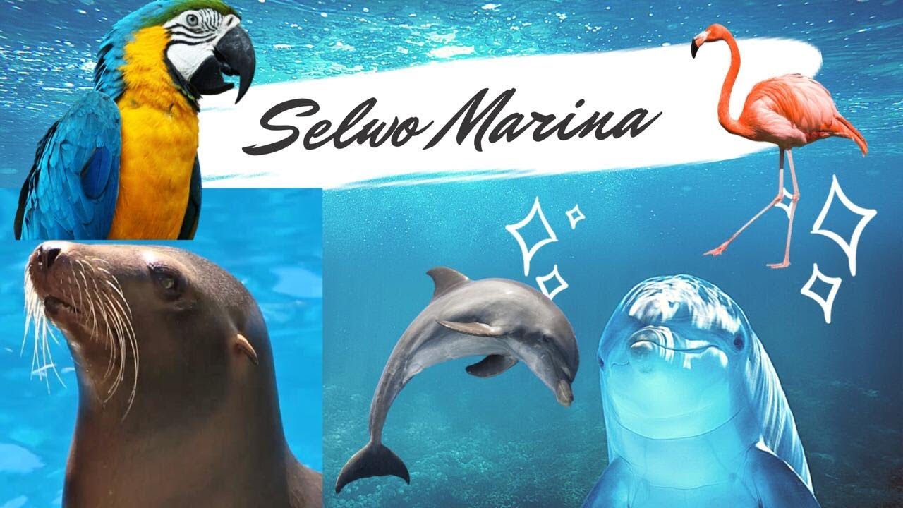 UN DIA EN SELWO MARINA BENALMADENA