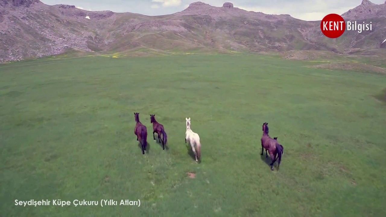 Küpe Çukuru ve Yılkı Atları Seydişehir