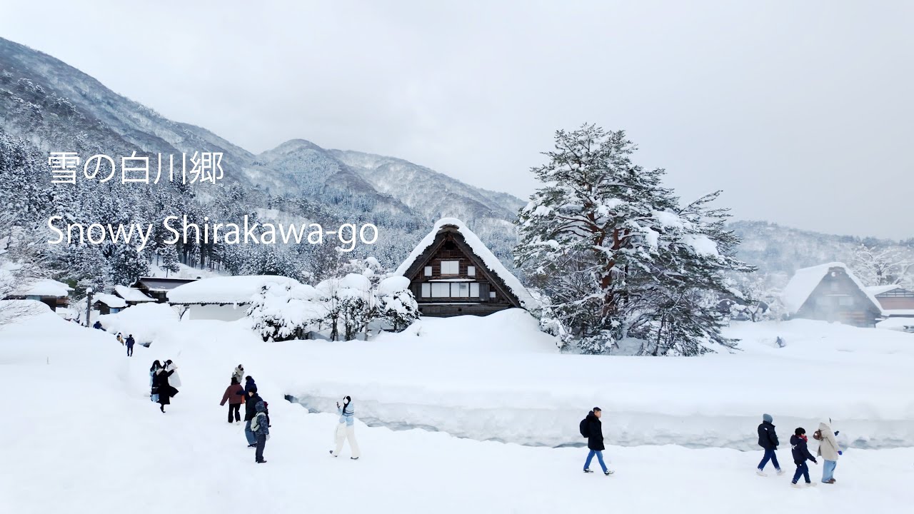 雪の白川郷を歩く　Snowy Shirakawa-go　4k