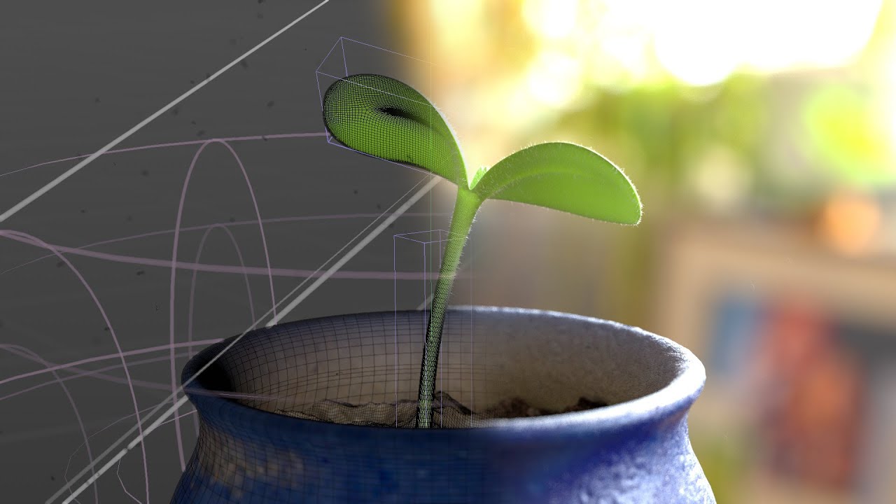 Making of CG Plant