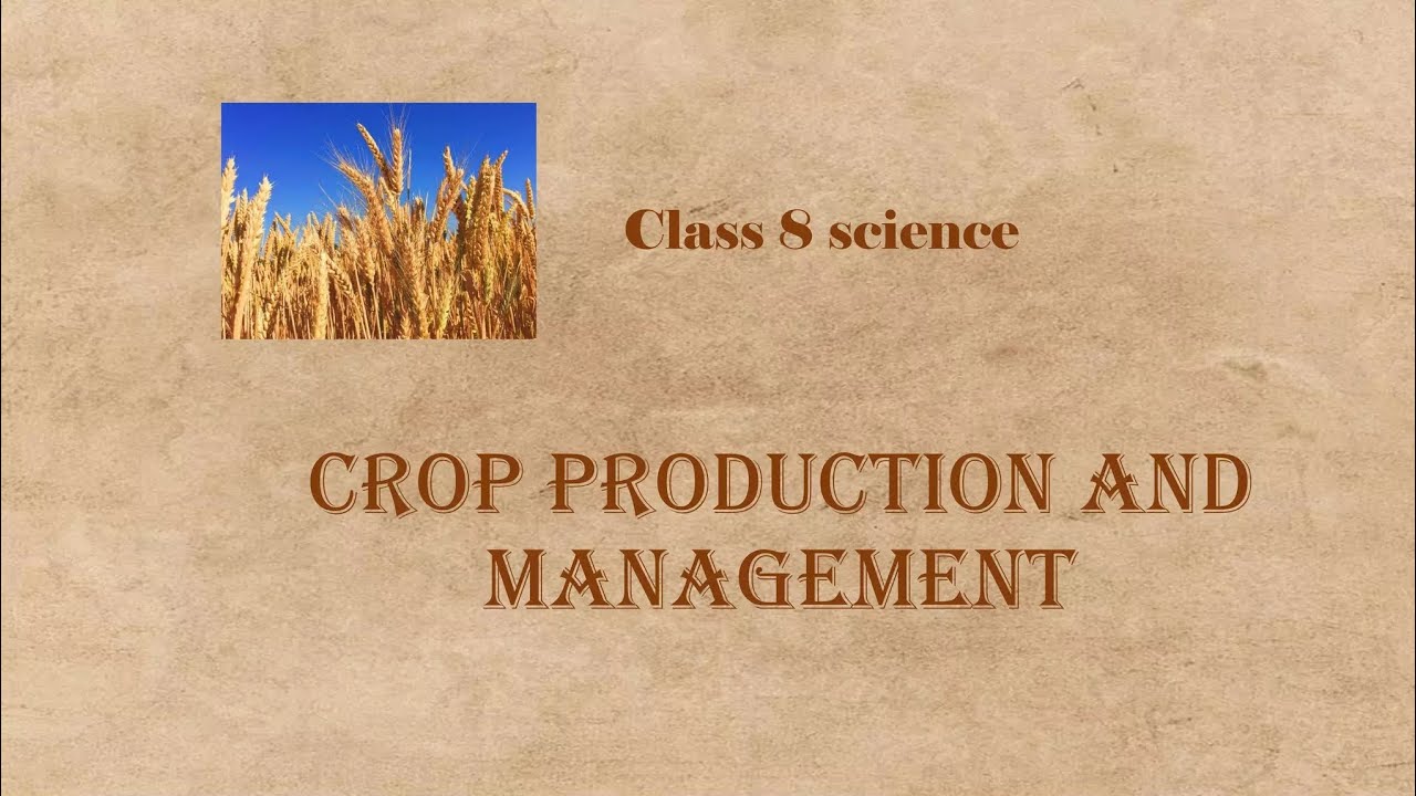 First chapter cbse science 8th std (crops and management) part 1