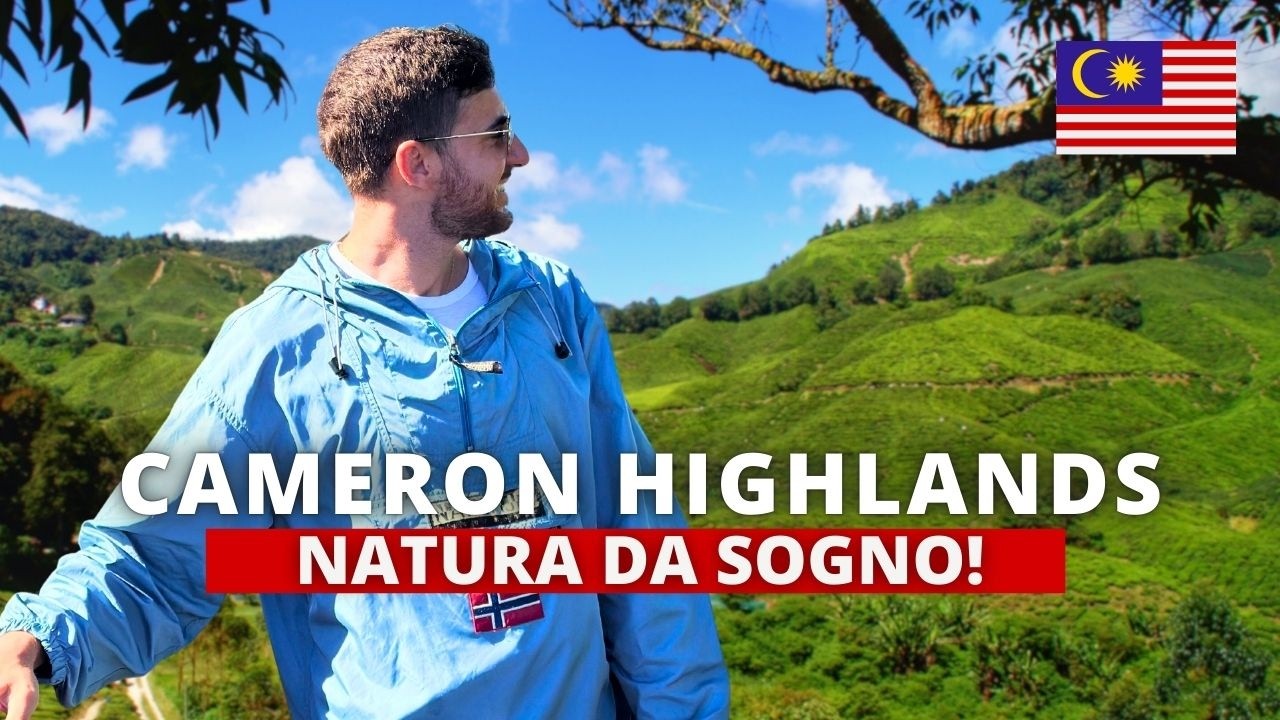 CAMERON HIGHLANDS: Immerso tra Piantagioni di Tè e Fattorie di Fragole! | Malesia Ep.2