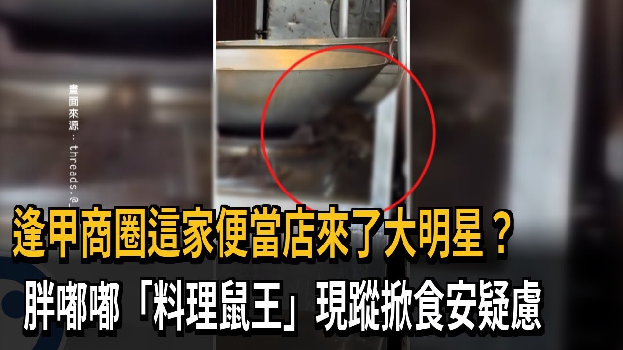 料理鼠王出沒？ 胖嘟嘟「米奇」現蹤排骨飯店加熱檯－民視新聞