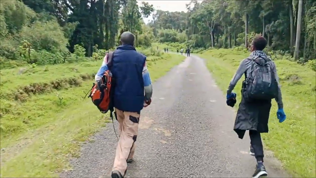 Mt Kenya Adventure: Naromoru Gate to MET Station | Monkeys & Waterbucks Spotted!
