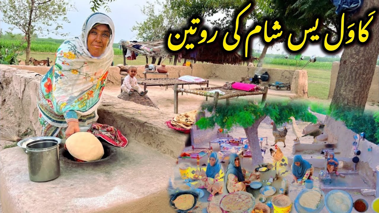Village Life Vlog | Gaon Ke Rozana Kaam Aur Village Women Life 🌾Village Happy Family 2026 