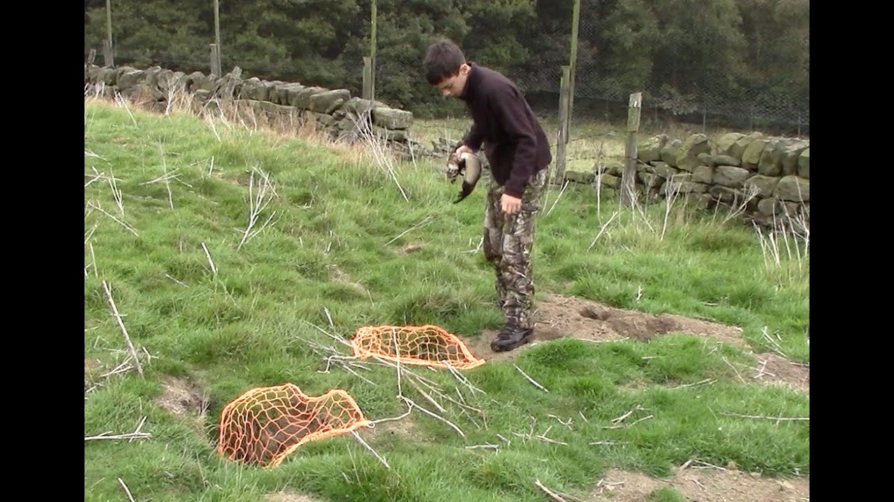 Ferreting rabbits with nets and long nets