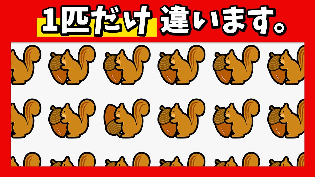 🍁集中力に注意力も！秋のテーマで脳トレ★1つだけ違うのは？【秋の風景編】