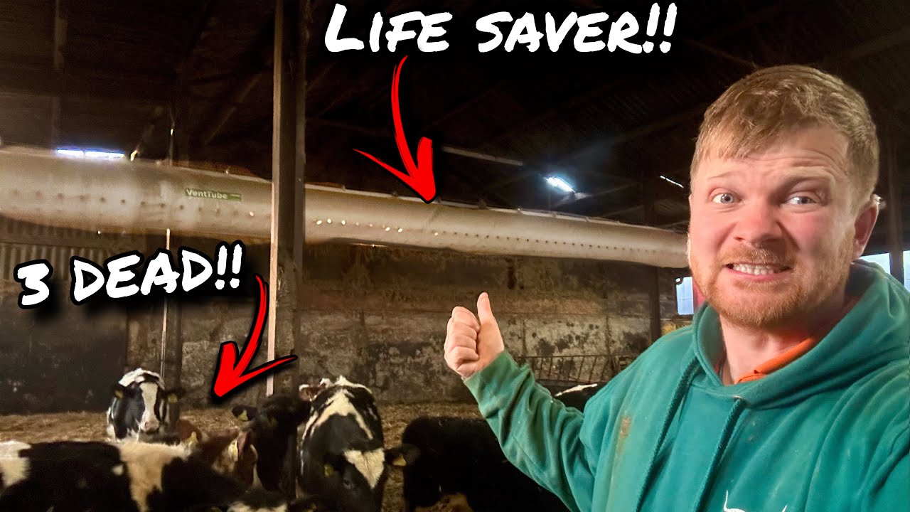 ТРИ ПОГИБШИХ!... МОЙ ХУДШИЙ ДЕНЬ НА ФЕРМЕ, ТАКОГО БОЛЬШЕ НИКОГДА НЕ ПОВТОРИТСЯ!!!