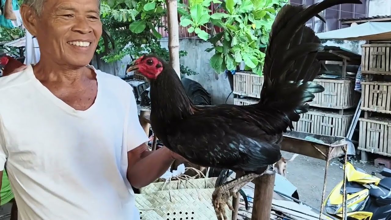 LAHAT NG GUSTO MO, MAKIKITA DITO SA TABUNOK CEBU