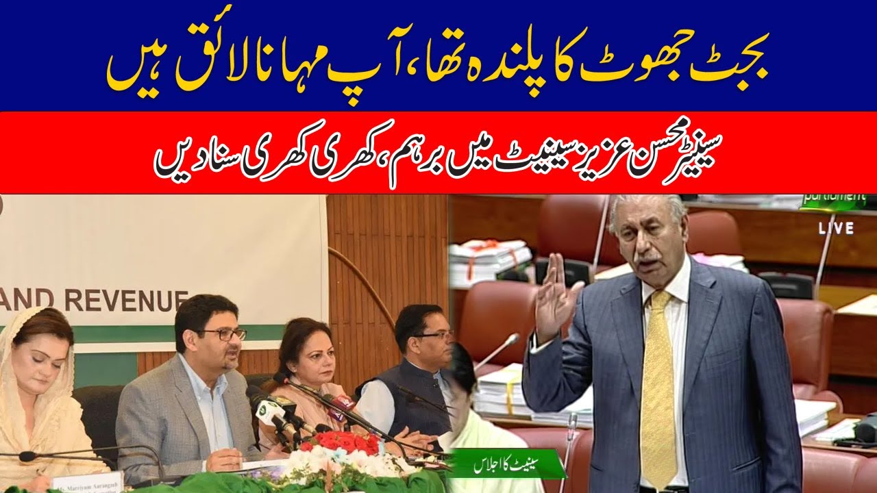 Senator Mohsin Aziz Speech In Senate Session | Budget 2022-23