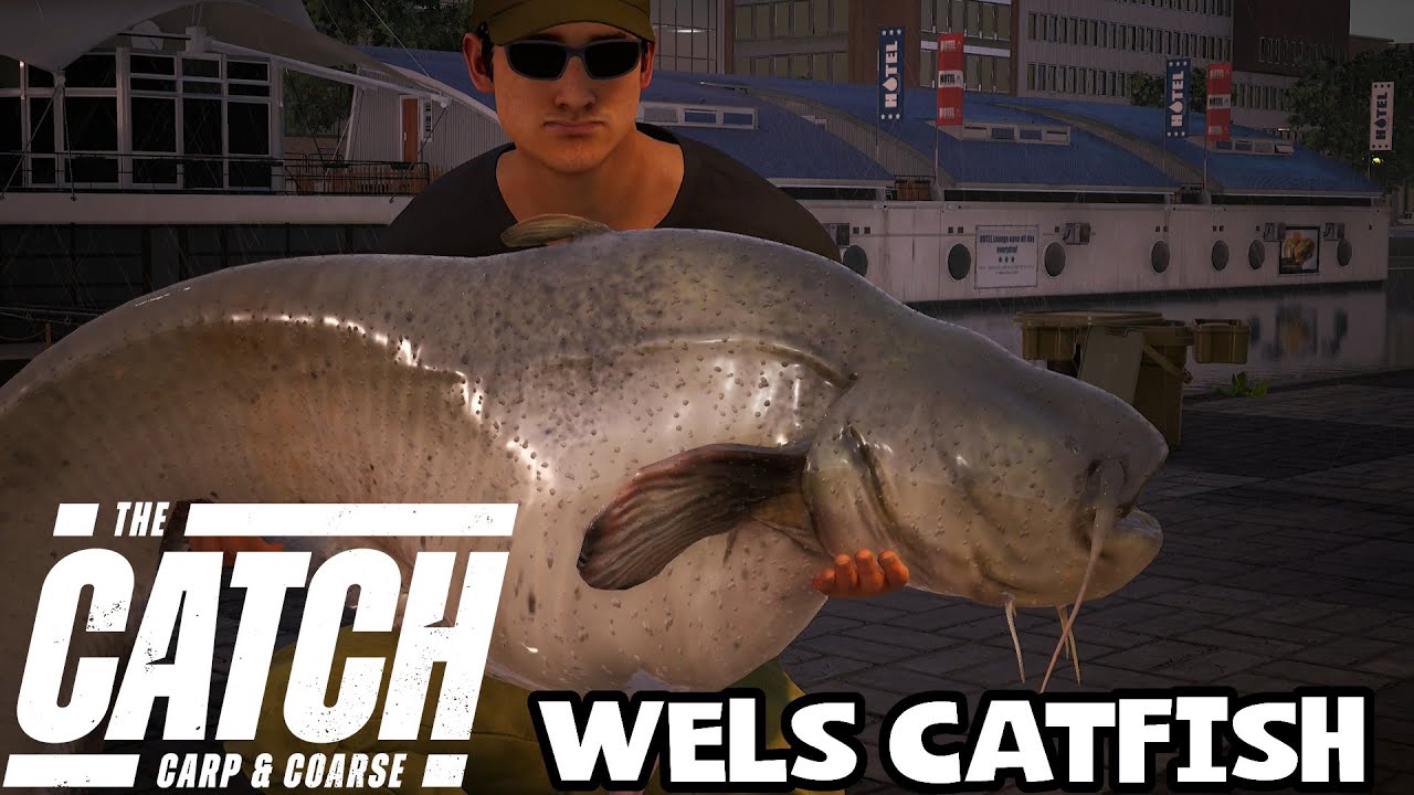 The Catch Carp & Coarse - Wels Catfish 102lbs 1oz - Rotterdam