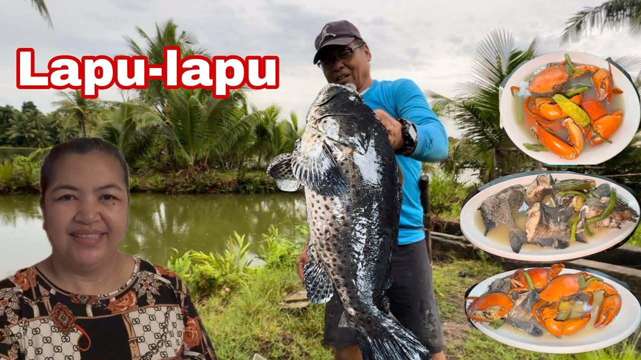 Malaking Lapu-lapu ang nahuli sa Palaisdaan