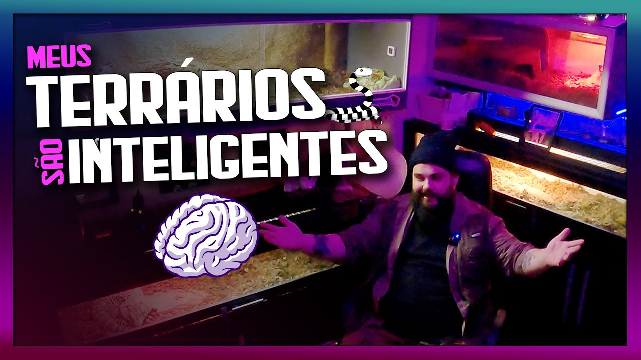 Como automatizar o Terrário de um RÉPTIL PET (Cobra, Jabuti, Teiu e outros) Recinto inteligente
