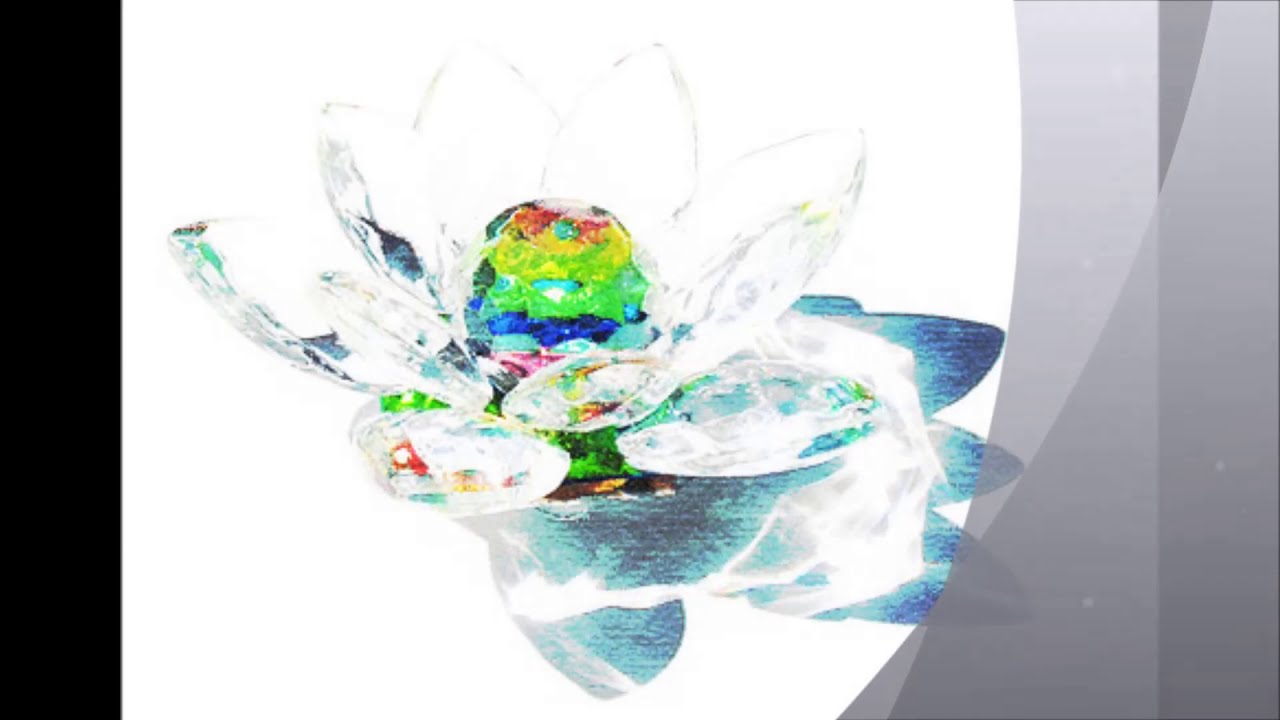 天国の花  麗美