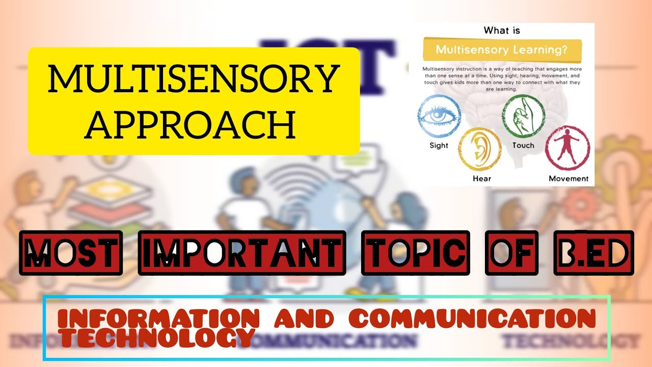 MULTISENSORY APPROACH|B.ED|ICT|MJPRU#mjpru #pyq #education #important #bed #viralvideo #topics