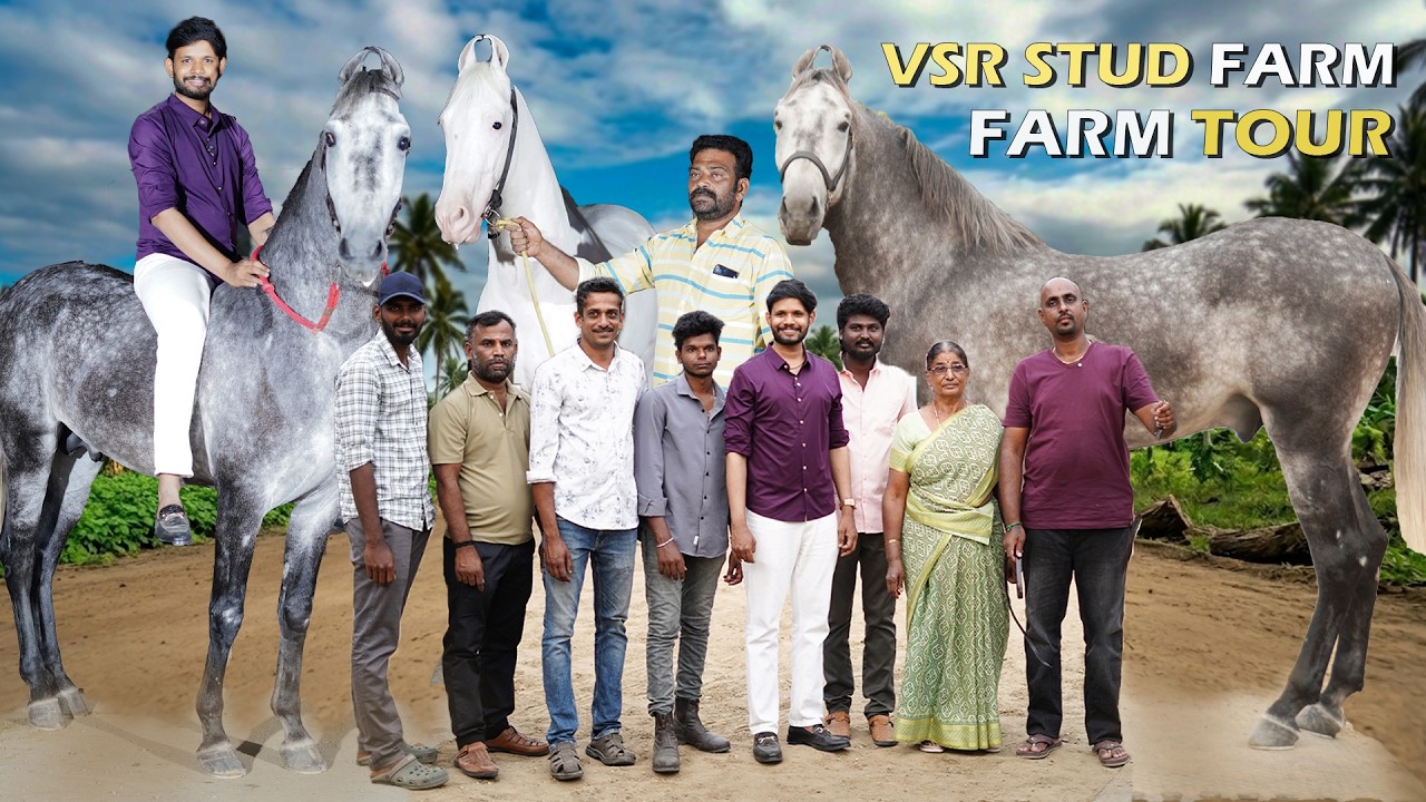 😮 14 மார்வாரி குதிரைகளுடன் கோவையை கலக்கி வரும் VSR Stud Farm| VSR Stud Farm Tour | DR6 Inspires