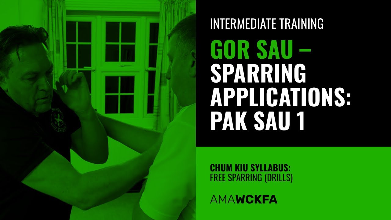 Sparring Application | Dan Chi Sau Concept
