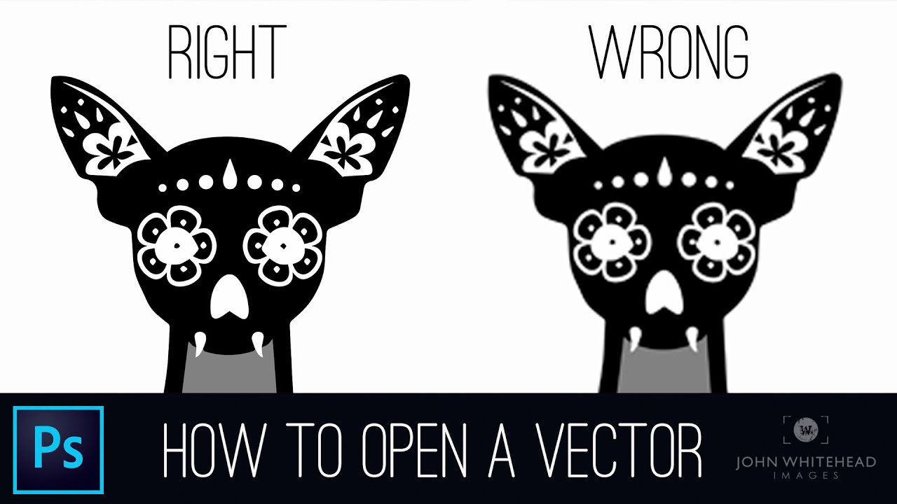 How to open a Vector in Adobe Photoshop