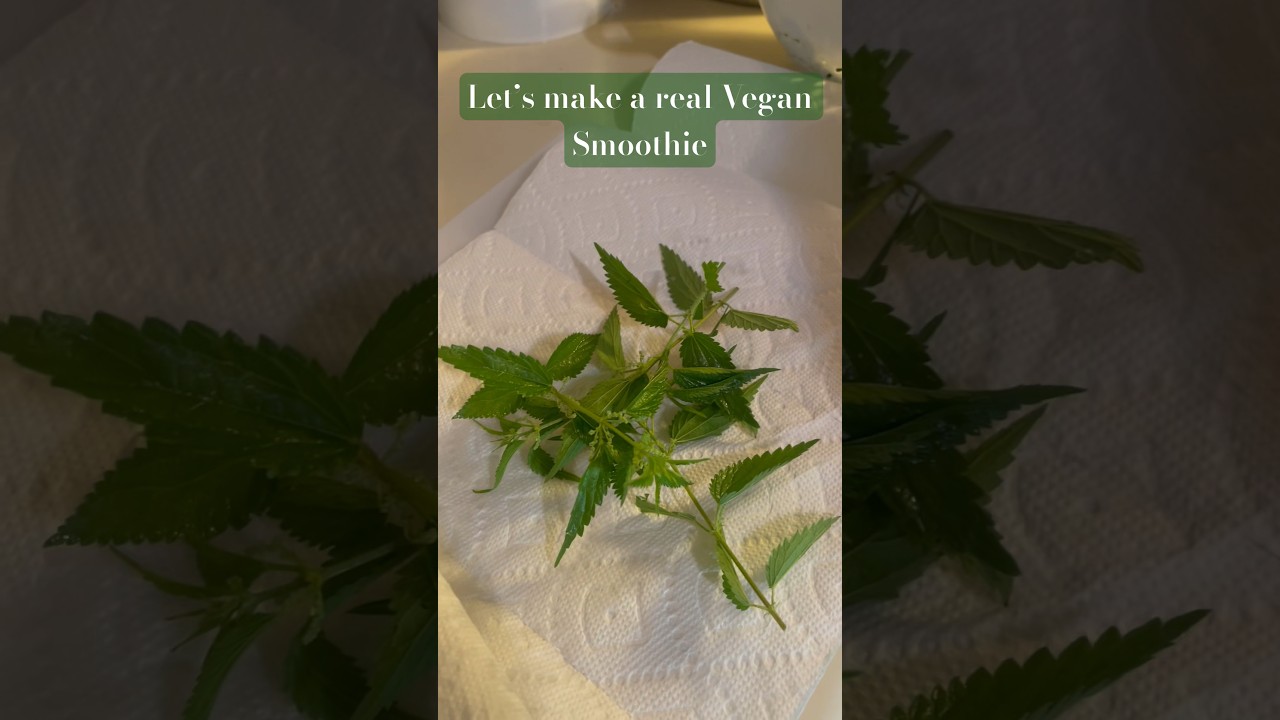 Making a real Vegan smoothie. #vegan #veganrecipes #sustainableliving