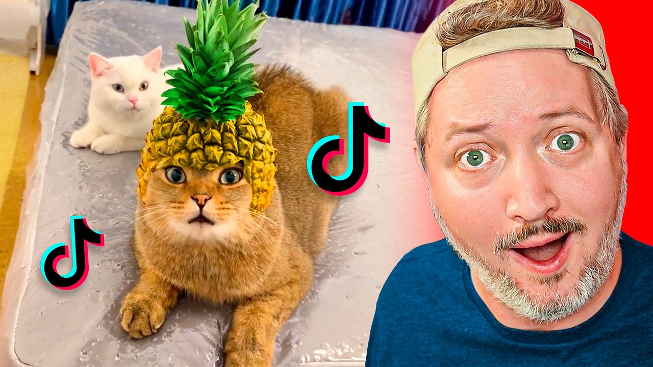 Jeg Så De DUMMESTE Katte på TikTok...