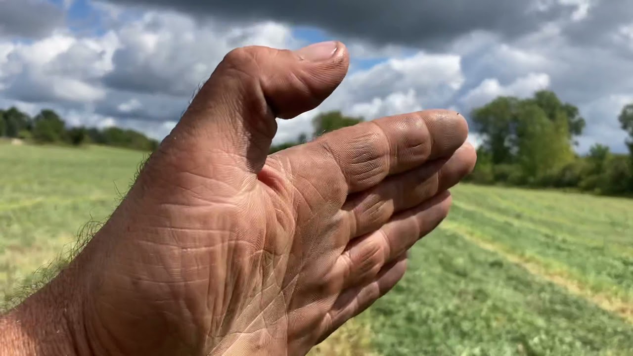 Hay rake vs Tedder in field comparison part 1