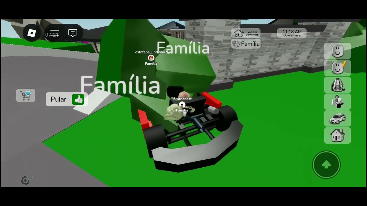 Copie o nome da minha mãe que eu falei no vídeo